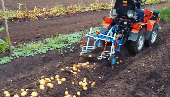 Как копать картошку мотоблоком?