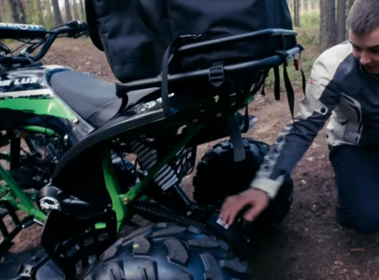 Задняя подвеска маятниковая