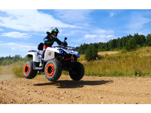 Квадроцикл MOTAX ATV Grizlik 200 Ultra