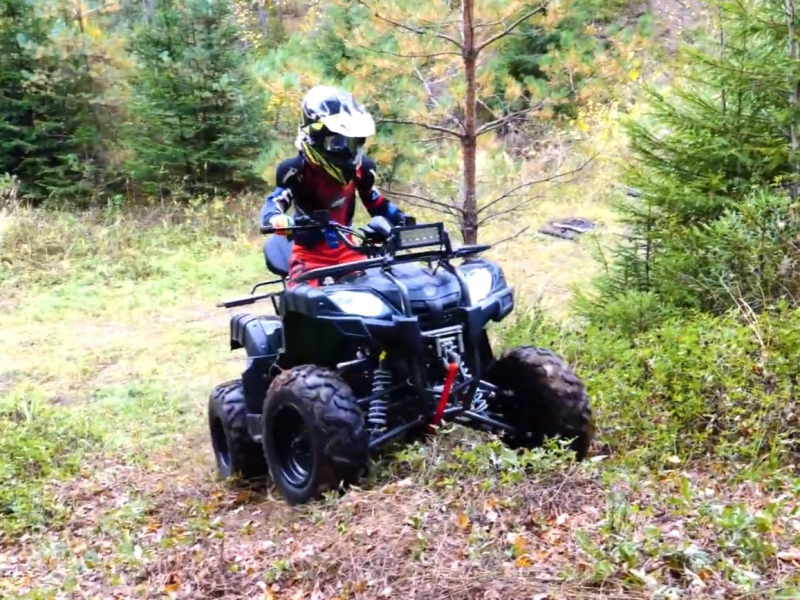 Квадроцикл MOTAX ATV Grizlik 200 LUX