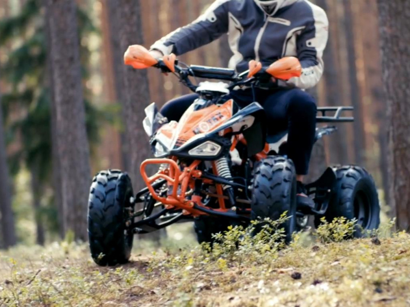 Квадроцикл Motax ATV T-Rex Super LUX 125