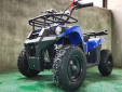 Квадроцикл Motax ATV Basic X16