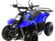 Квадроцикл Motax MIKRO 110 cc