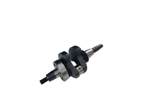 Коленвал Diesel 195F (H8GF-ME3,8GF-LDEF3-ATS) в сборе/1.02.05.01.0060