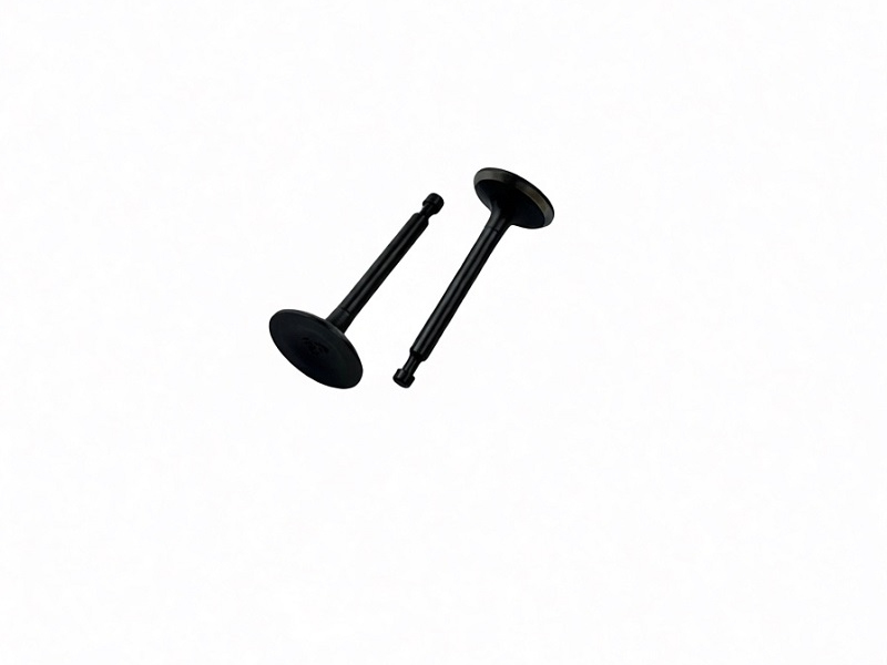 Клапаны (пара) КС212/DL00331,DL00330